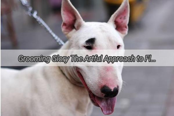 Grooming Glory The Artful Approach to FluffFree anal Gland Shaving for Your Pooch